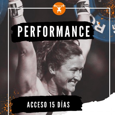 Performance ( 15 días )